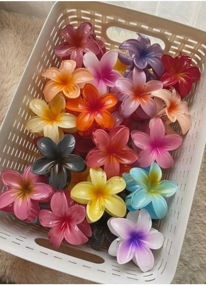 Women Hair Accessories